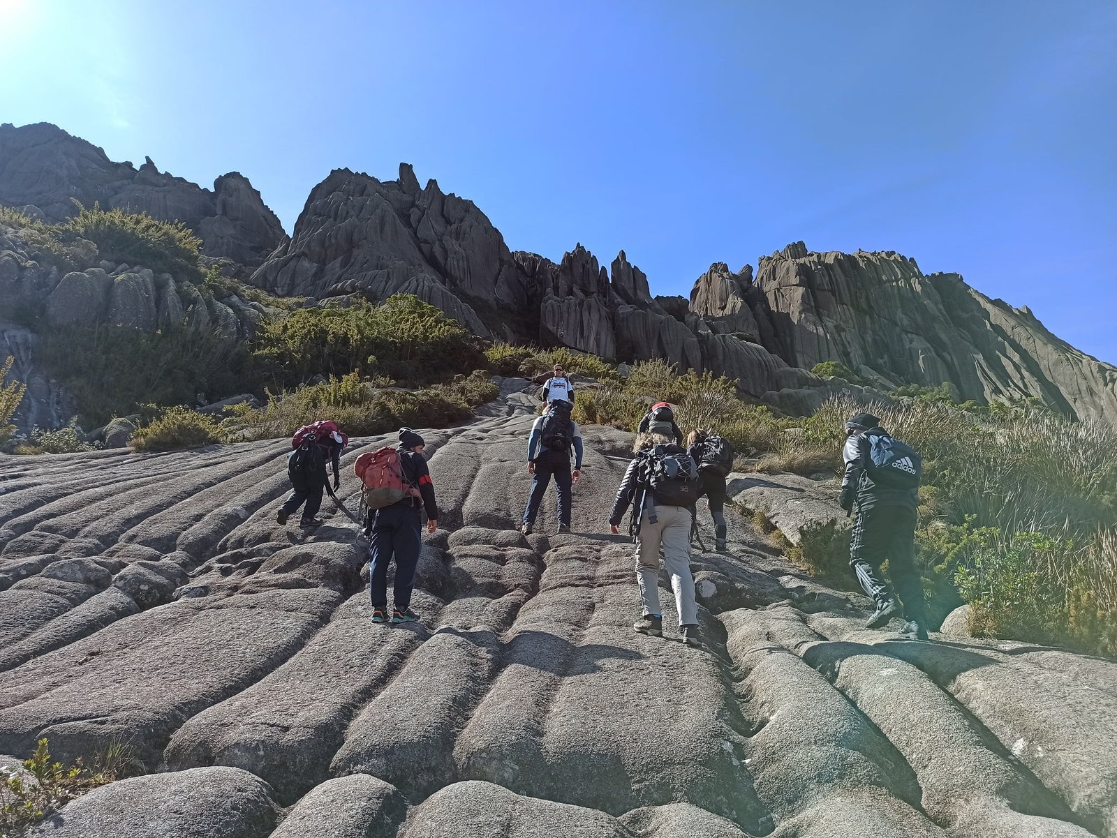 Pico-das-Agulhas-Negras-Itatiaia-26